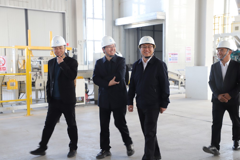 督导调研促发展，精准指导明方向—区党工委副书记、管委会主任孟霄一行莅临督导调研